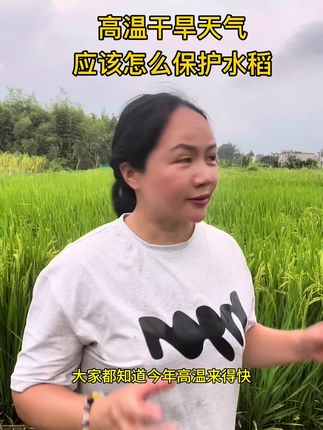 生命的一切都离不开酶#水稻种植 水稻高温直头应该怎么办#复合酶