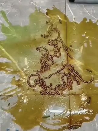 苏泊尔洗地机家用吸拖一体180度躺平大吸力拖地机电解水除菌升级#洗地机#吸拖一体机#苏泊尔洗地机