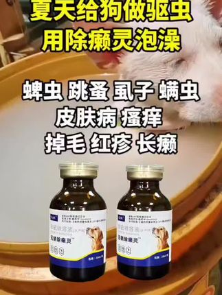 养狗经验分享#科学养狗#狗狗体外驱虫#除癞灵#萌宠好物 #养狗人
