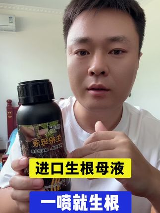 #进口生根母液#生根剂