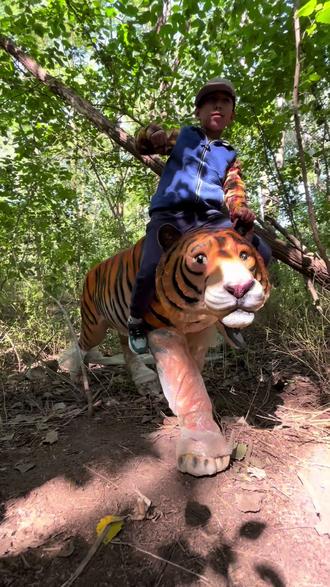 景阳岗!景阳岗遗址,位于山东省聊城市阳谷县张秋镇景阳岗村,是一处龙山文化古城址,发现于1973年。景阳岗遗址平面近似椭圆形或舟形,东北—西南走向,两端较窄,中部弧形凸出,南北长约1150米,北端宽约230米,南端宽约330米,中部最宽处约400米,总面积35万平方米。城内有大、小两个台基。出土了大量龙山文化中晚期的遗物,多为生活器皿,墓内出土遗物有陶、铜、骨器等共1770余件,有着显著的地方特征。景阳岗遗址文化面貌以山东龙山文化为主,也有一定量的河南龙山文化的因素,为研究这一地区龙山文化的面貌与中原龙山文化的关系乃至中国古代文明的起源等问题,提供了新线索。