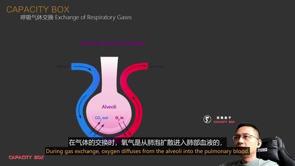 【解析】人体系统结构与功能—呼吸系统 呼吸系统的核心任务就是完成氧气与二氧化碳的交换。肺不会主动扩张,真正驱动呼吸的是膈肌和肋骨的运动。安静时靠膈肌,运动时靠肋骨提升来增加容量。氧气与二氧化碳的交换依靠浓度梯度完成,几乎瞬间完成。快速带你理解呼吸的本质。
#体能教练培训 #体能训练 #运动人体科学 #cscs备考 #运动表现