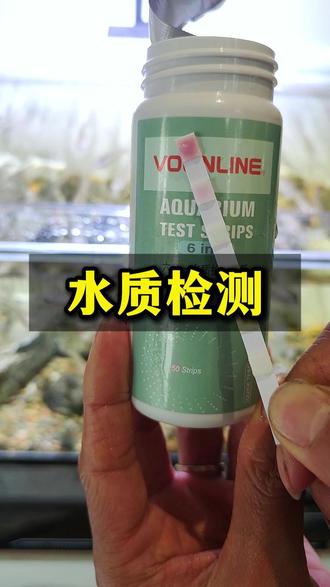 如果你也遇到这些问题 不妨定期用这个神奇的小纸条检测一下 #养鱼经验分享 #鱼缸死鱼怎么办 #鱼缸水质检测