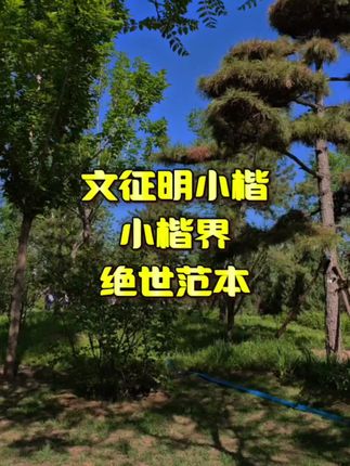 文征明小楷,小楷界绝世范本!#国学文化 #书法 #练字静心 #小楷 #文征明小楷