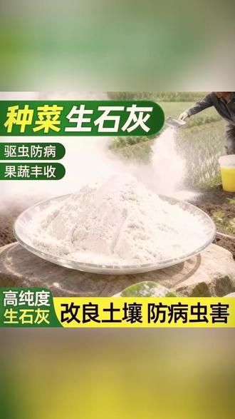高纯度生石灰粉杀虫种菜鱼塘用杀菌干燥剂除湿剂防潮防霉除湿刷树 #种植小技巧 #生石灰粉在农业上的妙用 #蔬菜种植 #防虫小妙招 #一起学种菜