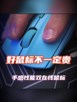 好鼠标不一定要很贵! #鼠标 #外设 #电竞