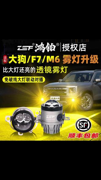 鸿铂适用于哈弗大狗双光雾灯坦克300黄金眼led双直射边牧远光炮 #汽车好物推荐