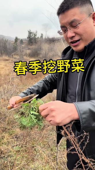 春天来了,大自然赋予的美食该吃起来了😂#春天的味道 #野菜 #荠菜 #地衣 #菠菜