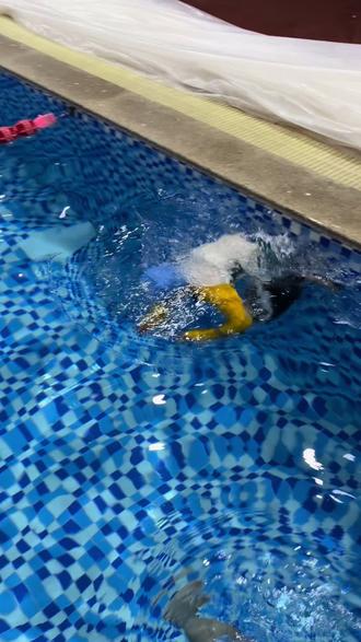 全程泳道沉浸式欣赏#游泳打卡 #爱游泳的宝宝
