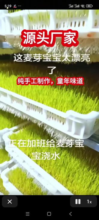 《年货节》贵州遵义特产温老头麦芽传统美食怀旧零食小林嘴叮叮糖独立包装祖传制作老手艺#软糯香甜#纯手工制作#童年味道#养胃佳品#味道杠杠的