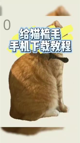 @光环助手APP #光环助手 给猫梳毛手机小游戏,给哈基咪梳毛,暴躁橘猫,刷分游戏,给猫梳毛哪里下载#给猫梳毛 #木头人游戏 #暴躁橘猫 #哈基咪猫