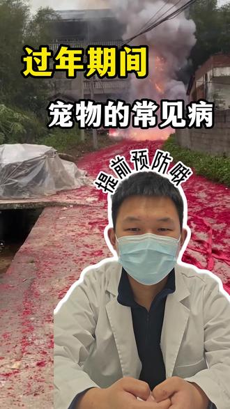 过年期间宠物常见的疾病,毛孩子家长提前预防!!安安心心过好年!!#过年 #宠物过年攻略 #猫咪应激 #狗狗过年 #环宠国际宠物医院