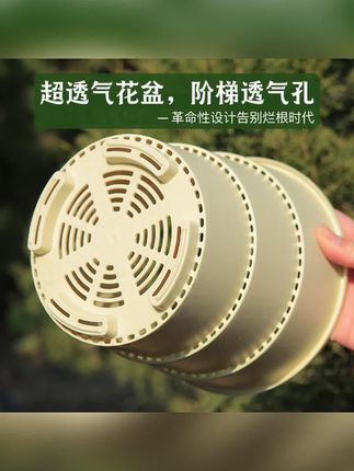 亮哥推荐新款青山盆360度透气加厚控根防烂根树脂月季绣球塑料耐用加仑盆#青山盆#花盆#种植花盆#贾乃亮