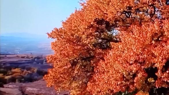 剪映制作:我爱你中国! #自然风光