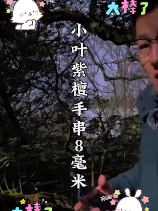 保真,喜欢的去拍,包你满意#文玩手串 #文玩人 #文玩 #手串搭配 #手串收藏