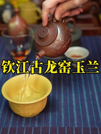 钦江古龙窑烧制,玉兰花浮雕巨轮珠炮嘴壶。#炮嘴壶 #钦江古龙窑 #柴烧壶 #泡茶