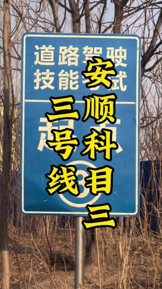安顺科目三路线全程#安顺科目三#安顺考试场#天津驾校#天津科目三陪练#陪驾