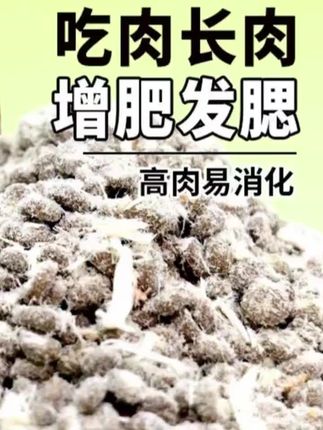 #冻干猫粮通用型成猫幼猫鸡肉绒增肥发腮高蛋白蓝猫布偶宠物必备