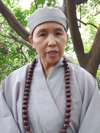 #1960年的鼠 #1972年的鼠 #1984年的鼠