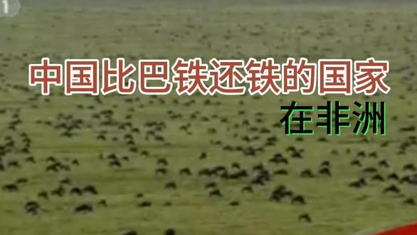 中国引进黑人留学生是有原因的,就是国家战略布局