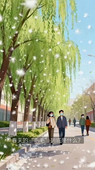 春日飞雪,到底是什么呢?是否应该“一砍了之”呢?#杨絮 #柳絮 #绿化 #环境 #科普