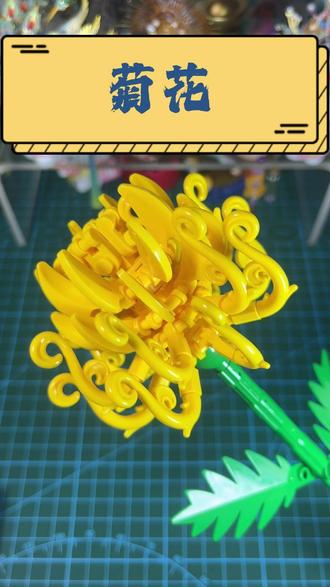 积木花 今天拼的花型是 菊花。#手工diy #积木花 #拼装玩具 #菊花