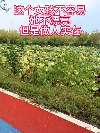 回乡创业没有背景靠山,想通过自己的努力推广家乡农产品,如果有幸被您刷到,能不能不要嘲笑我,我手中的山楂干酸甜爽口#山楂干 #优质农产品