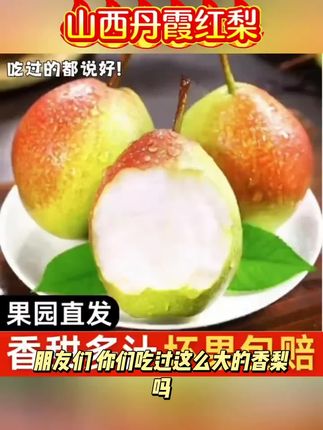 【净重4.5斤】正宗特甜香梨冰淇淋梨香甜头茬现摘现发应季水果