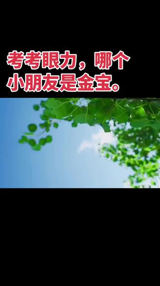《闪耀明天》阳光滋养成长,大地包容奔跑。小朋友们并肩同行,勇敢探索。在学习中收获快乐。