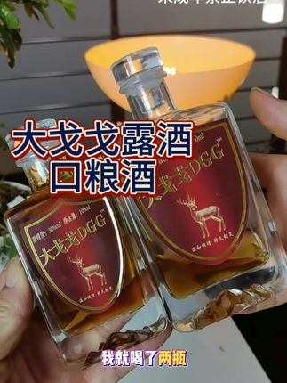 过了30的兄弟,家里口粮酒就喝这款大戈戈露酒!#男士神仙单品 #口粮酒 #大戈戈露酒 #养生酒 #男士必备