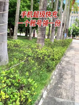 #快充 #充电器 一人领一单