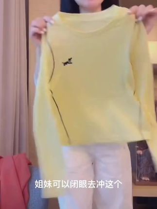 【刺绣小狗】2025早秋新款胸口刺绣小狗圆领长袖T恤上衣LK2506298