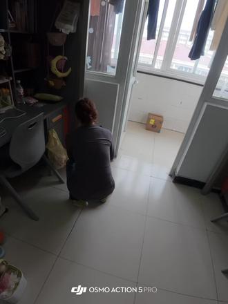 #大鹏小静 #企鹅人 #情人@大鹏小静 @Nell 点名不要特效的