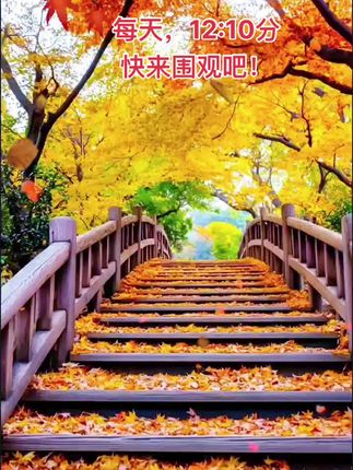 每天,12:10分 快来围观吧!#跟着音乐节奏嗨起来 #老板娘日常 #记录美好生活每一天