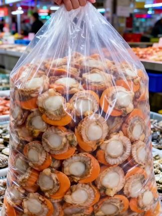 扇贝肉 扇贝肉圆鼓鼓的像小元宝,带着大海的鲜气!焯水后Q弹紧实,不管蒜蓉蒸还是辣炒,一口下去鲜得直眯眼,那股子鲜甜劲儿,吃一口就忘不了~  #扇贝肉 #鲜味担当 #海鲜爱好者