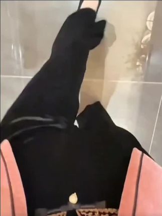 #每日分享 #每日穿搭分享l👗👗👗 #新款分享 #穿出自己的风格 #强烈推荐