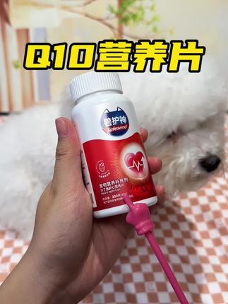 猫咪狗狗大口喘气、倒吸气,一定要尽早准备辅酶Q10营养片,早预防更健康#宠物知识 #新手养宠 #辅酶q10
