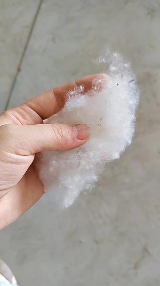 又找到副业了老铁门,棉花做出来是棉花被,蚕吐丝是蚕丝被,俺这个是百分百杨絮被,比蚕丝被还珍贵,因为收集的慢,成熟的时候不好收割。