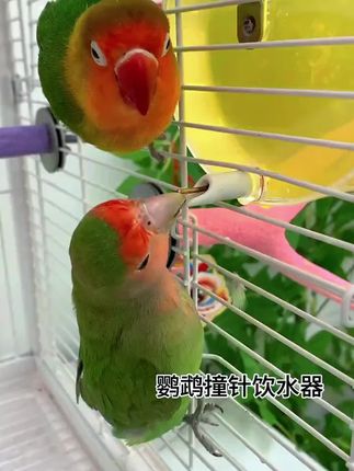 大语文时代,语文考试知识面非常灵活,一定要帮孩子多积累这些百科常识 #育儿 #家庭教育 #百科知识 #文学常识
