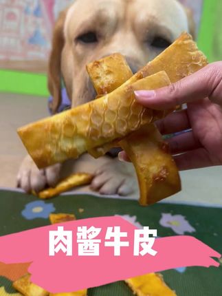 沾满肉酱的牛皮小狗真的好爱啃,美味的同时还能磨牙洁齿,防止狗狗拆家#萌宠好物 #小狗日记 #狗零食 #宠物零食 #拉布拉多