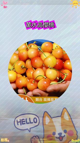 来自山东烟台的黄水晶又叫黄蜜。是一个樱桃新品种,每年的产量也比较少,只有20多天才能吃到软糯爆汁。皮薄肉厚,细腻无渣,满满的膳食纤维和维生素,家里有孕妈,小孩儿的都可以尝一尝 #黄蜜樱桃 #优质农产品 #新鲜采摘 #快来一起尝个鲜