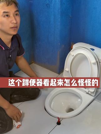 到底是哪个环节出了问题 这个蹲便器我总觉得哪里不对,比我们平时见到的要大#装修 #家装装修 #抖音商城