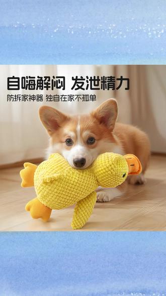 能发出仿真嘎嘎声的狗狗陪睡大黄鸭#狗狗玩具 #养宠进阶指南 #萌宠 #养宠好物