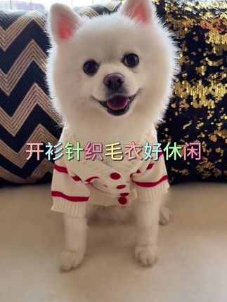 大方得体又耐看 #宠物衣服#宠物毛衣#狗狗衣服#猫咪衣服#日常分享