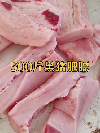 #猪肥肉 #肥膘 #新鲜农产品