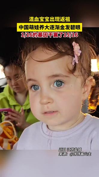 混血宝宝出现返祖 中国萌娃养大逐渐金发碧眼 1/16的基因干赢了15/16(视频来源:@饼饼酱公主 )