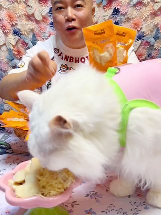 鸡胸碎肉福利!小箱减3块,大箱立减10块!营养解馋,经济实惠 #超便宜超划算 #鸡胸肉#萌宠好物