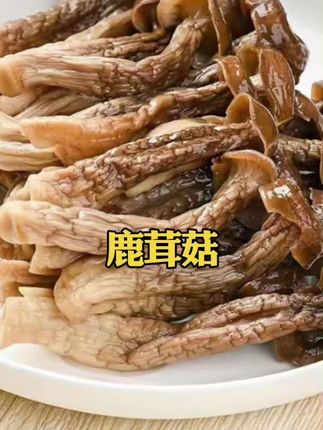 鹿茸菇#地方特色美食 #健康食材 #吃出健康 #每日分享