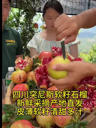 家人们,你们心心念念的突尼斯软籽石榴上市了!个头超大,红彤彤的外表特别诱人,里面的果粒像玛瑙一样,咬一口,鲜甜的汁水在嘴里爆开,软籽的,吃起来很方便,快买回去尝尝吧!#新鲜采摘 #应季水果 #脆甜多汁 #马军陈洁#网红马军