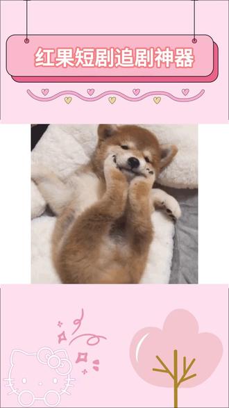 红果短剧,就是我的追剧神器。#红果短剧